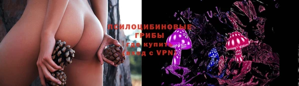 мескалин Пестово