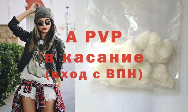 apvp Осташков