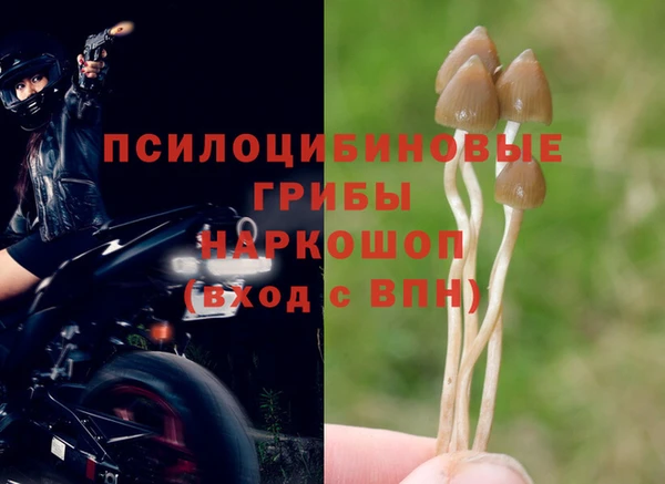 кокс Пересвет