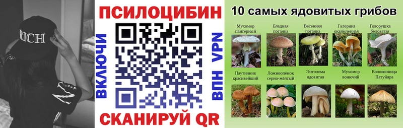 Галлюциногенные грибы Cubensis  Красноармейск 