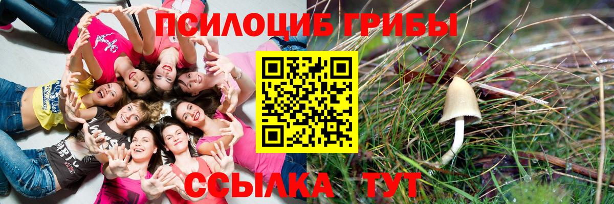 Псилоцибиновые грибы прущие грибы  Красноармейск  как найти   Галлюциногенные грибы прущие грибы 