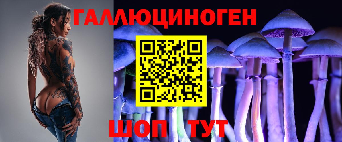 Красноармейск  Псилоцибиновые грибы Cubensis  Вход с VPN  Псилоцибиновые грибы мицелий 