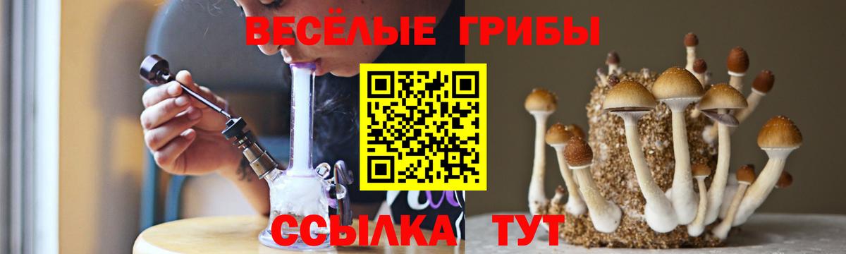 Галлюциногенные грибы Magic Shrooms Красноармейск