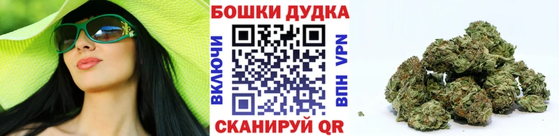 Каннабис OG Kush  Красноармейск 